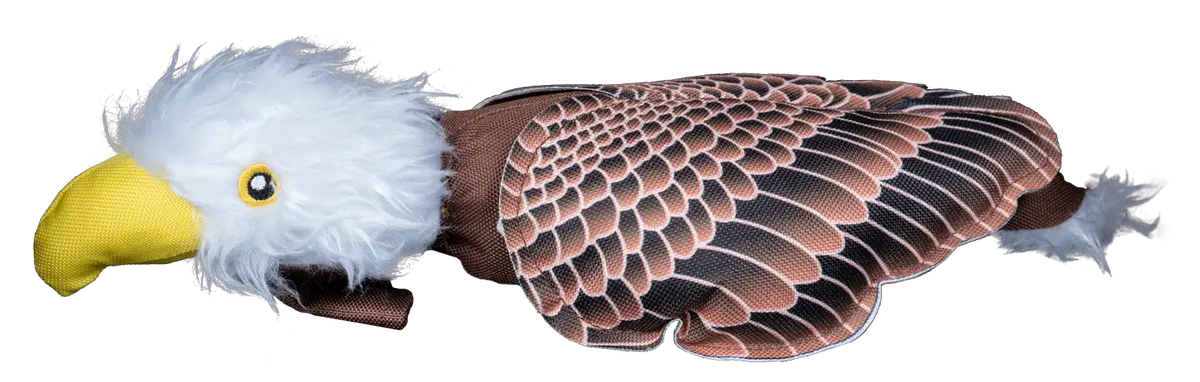 Fly & Fetch Eagle 1