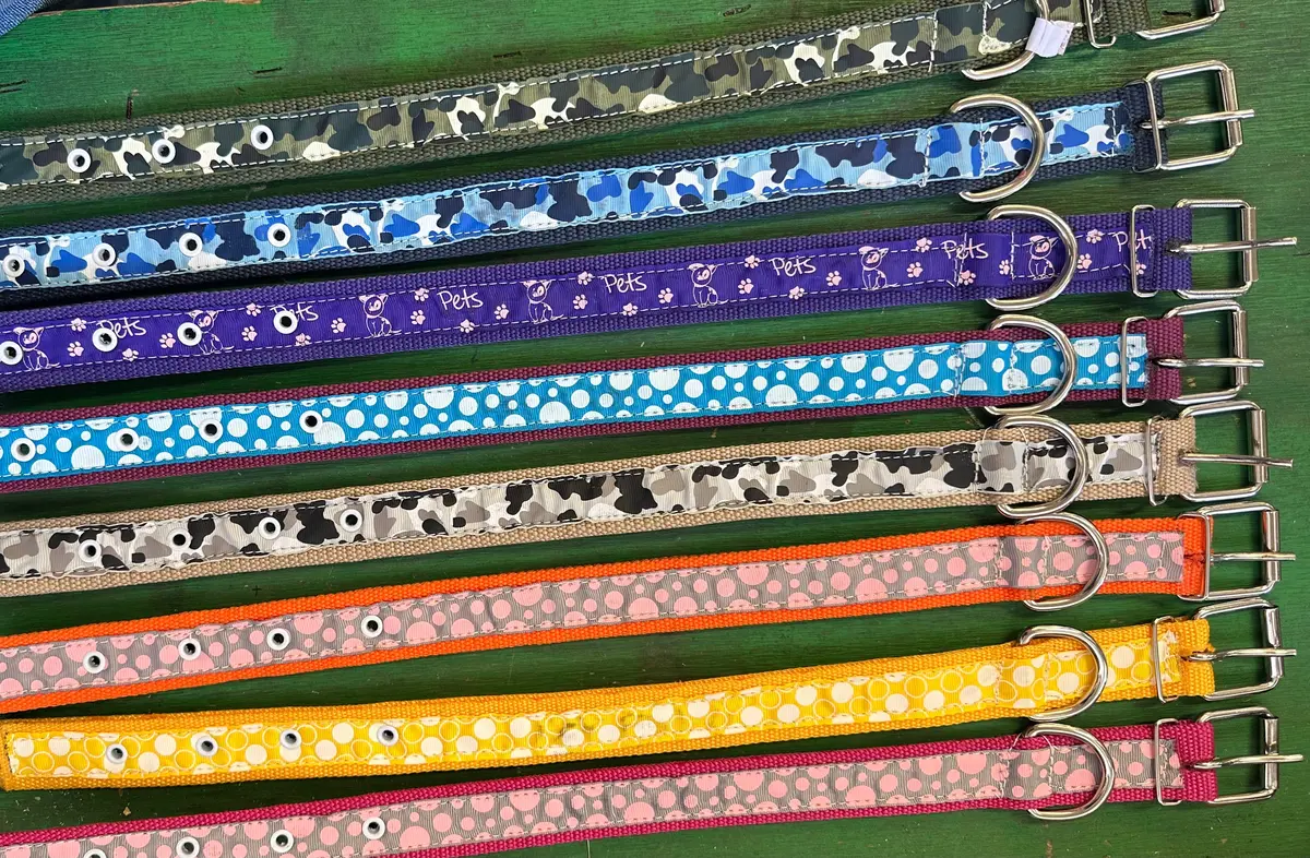 Economy Nylon Dog Collar - Medium 1