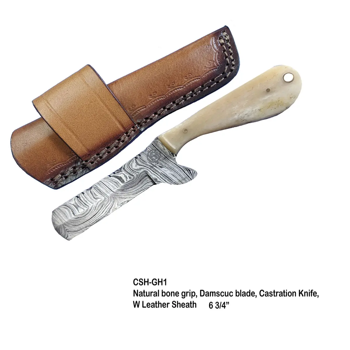Circle Sh Knife 6.75" Bull Butter Damascus Steel Bone Grip W Shealth 1