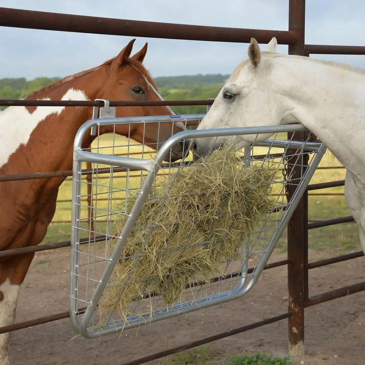 Freestanding Wire Hay Rack 1