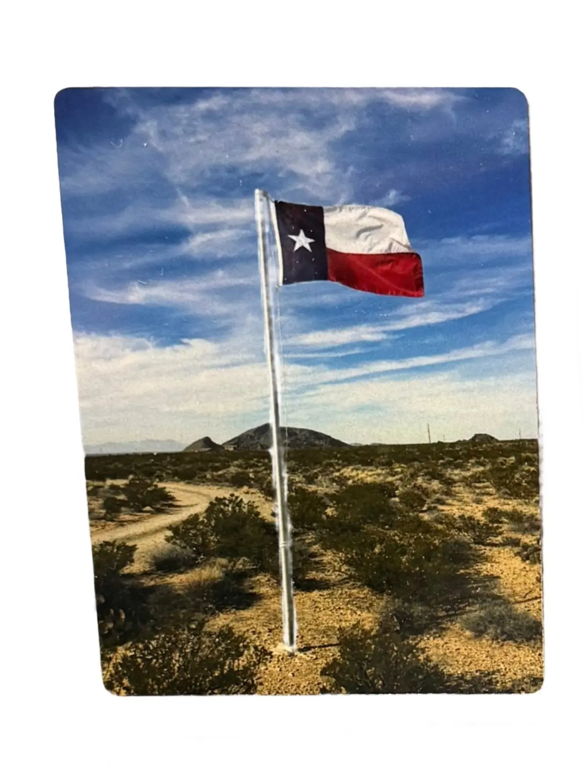 Texas Flag Metal Magnet 1