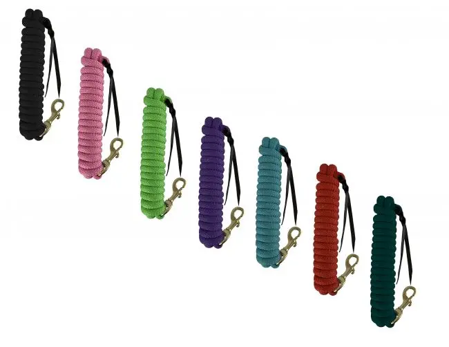Showman 14' Leather End Nylon Pro Braid Training Lead With Brass Snap 1