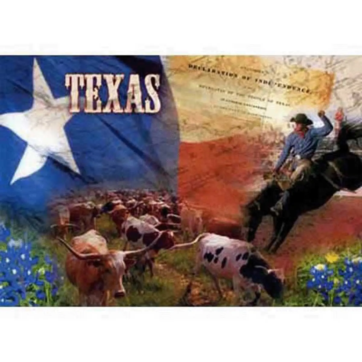 Texas Collage Postcard 1