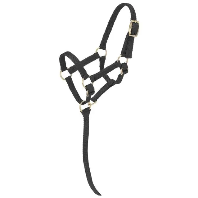 Tough1 Miniature Nylon Halter - Large Black 1