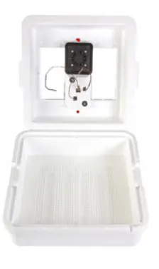 Little Giant: Circulated Air Incubator 1