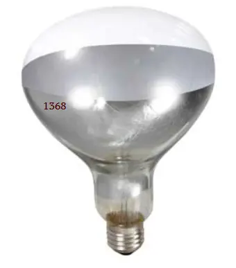 Bulb 250 Watt Clear 1