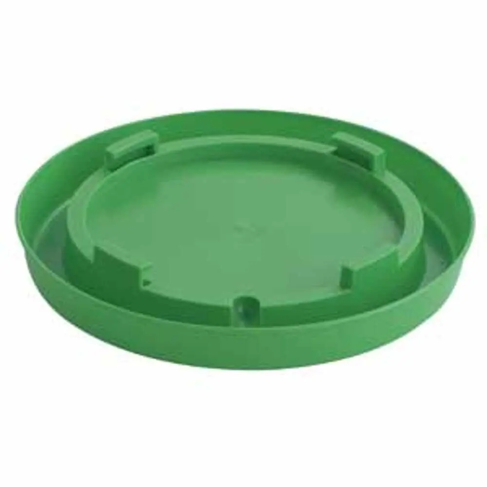 Base-Nesting Gal-Lime Green 1