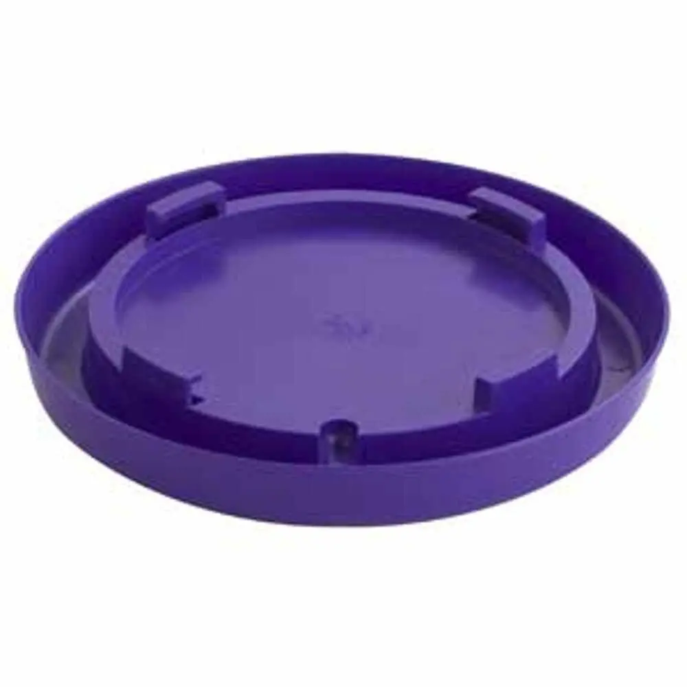 Base-Nesting Gal-Purple 1