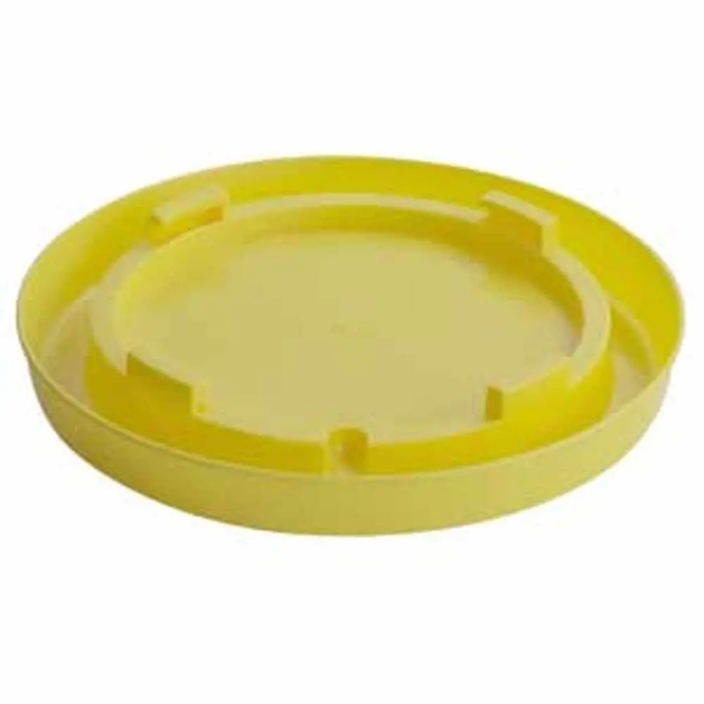 Base-Nesting Gal-Yellow 1
