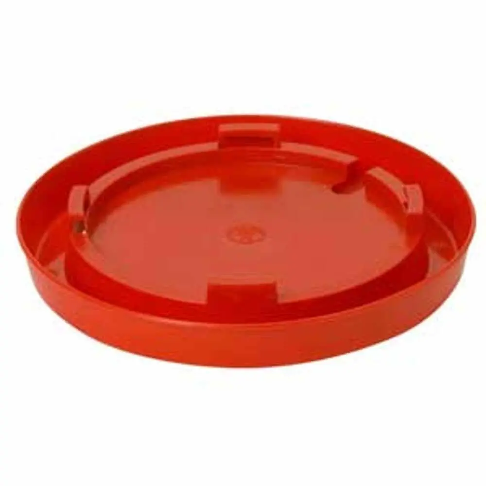 Base-Nesting Gal-Red 1