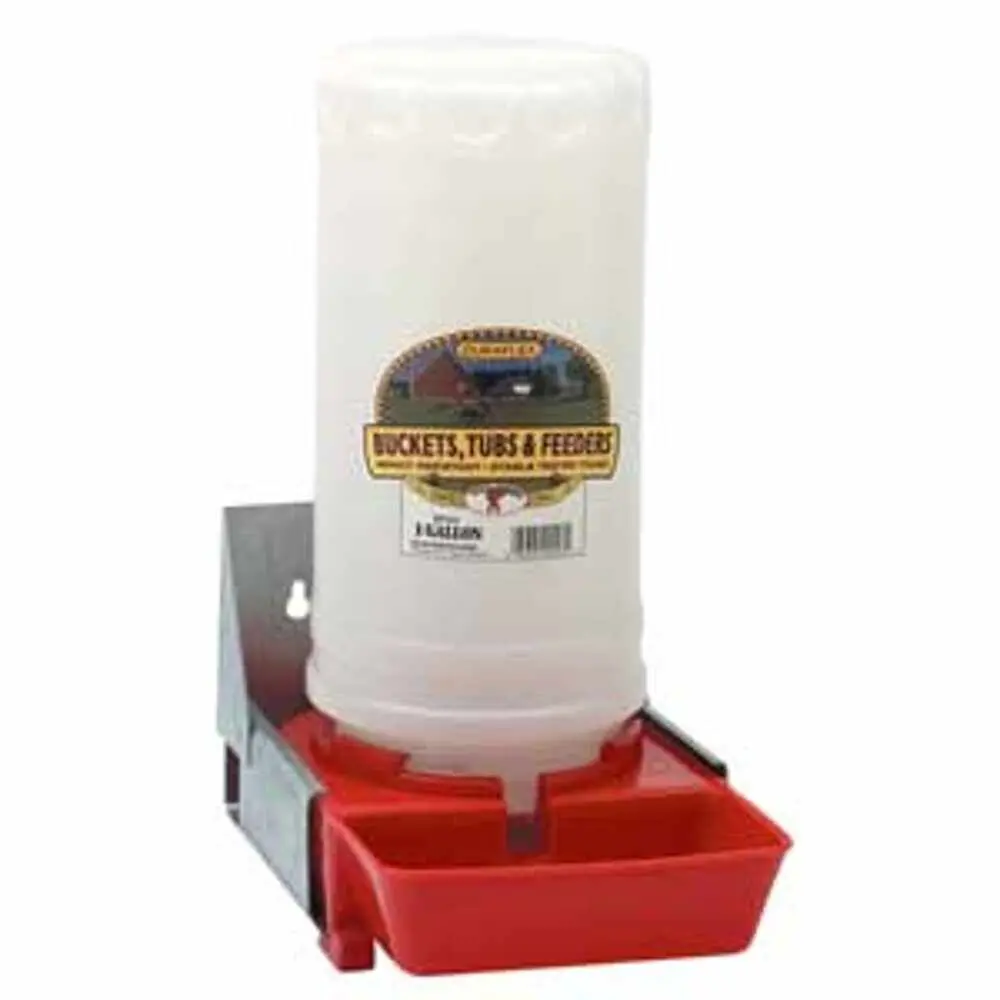 Waterer - Baby Pig 6C/S 1