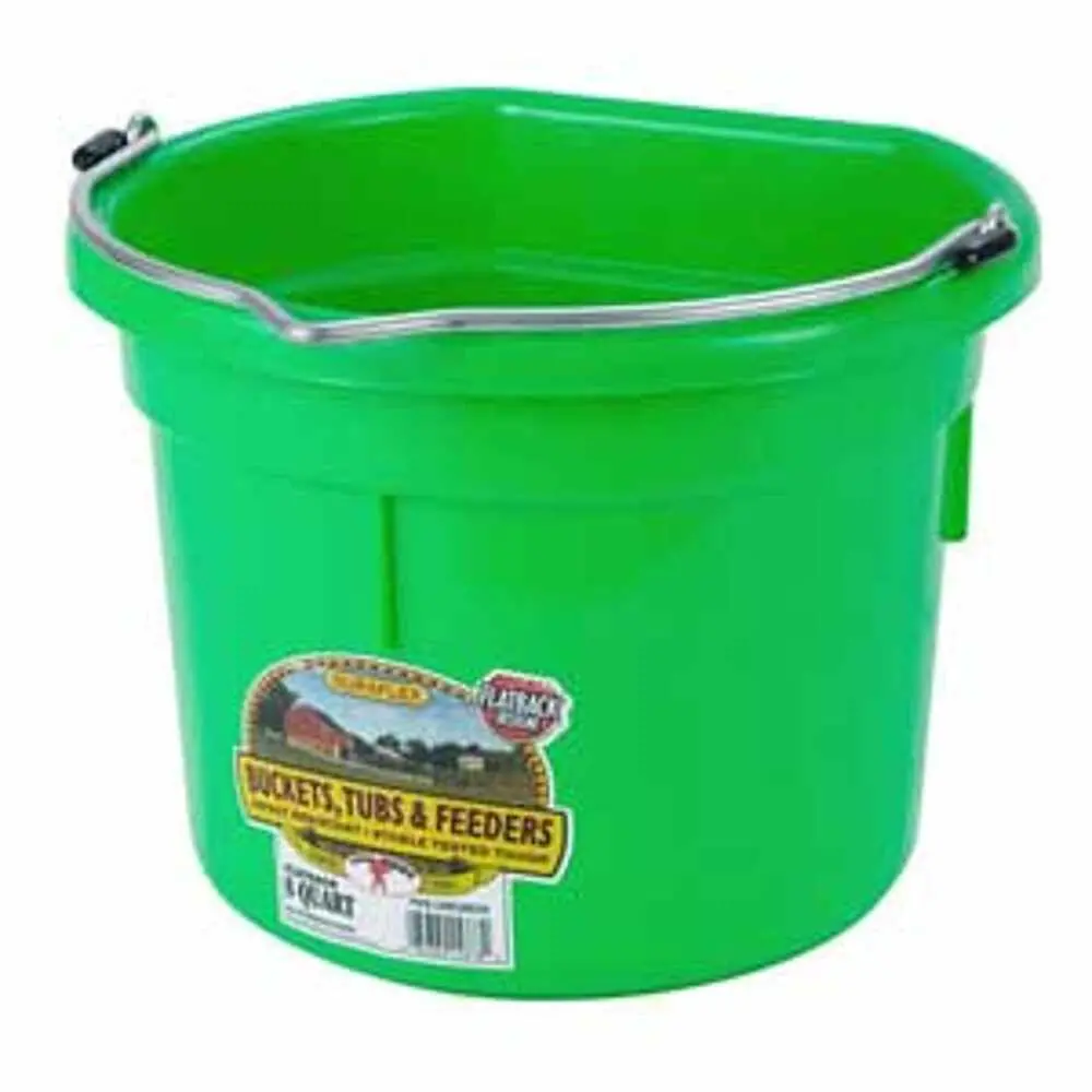 8 Qt. Flat Back - Lime Green 1