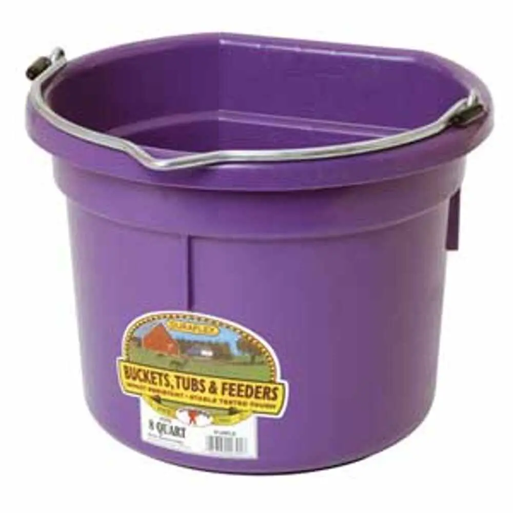8 Qt. Flat Back - Purple 24/Cs. 1