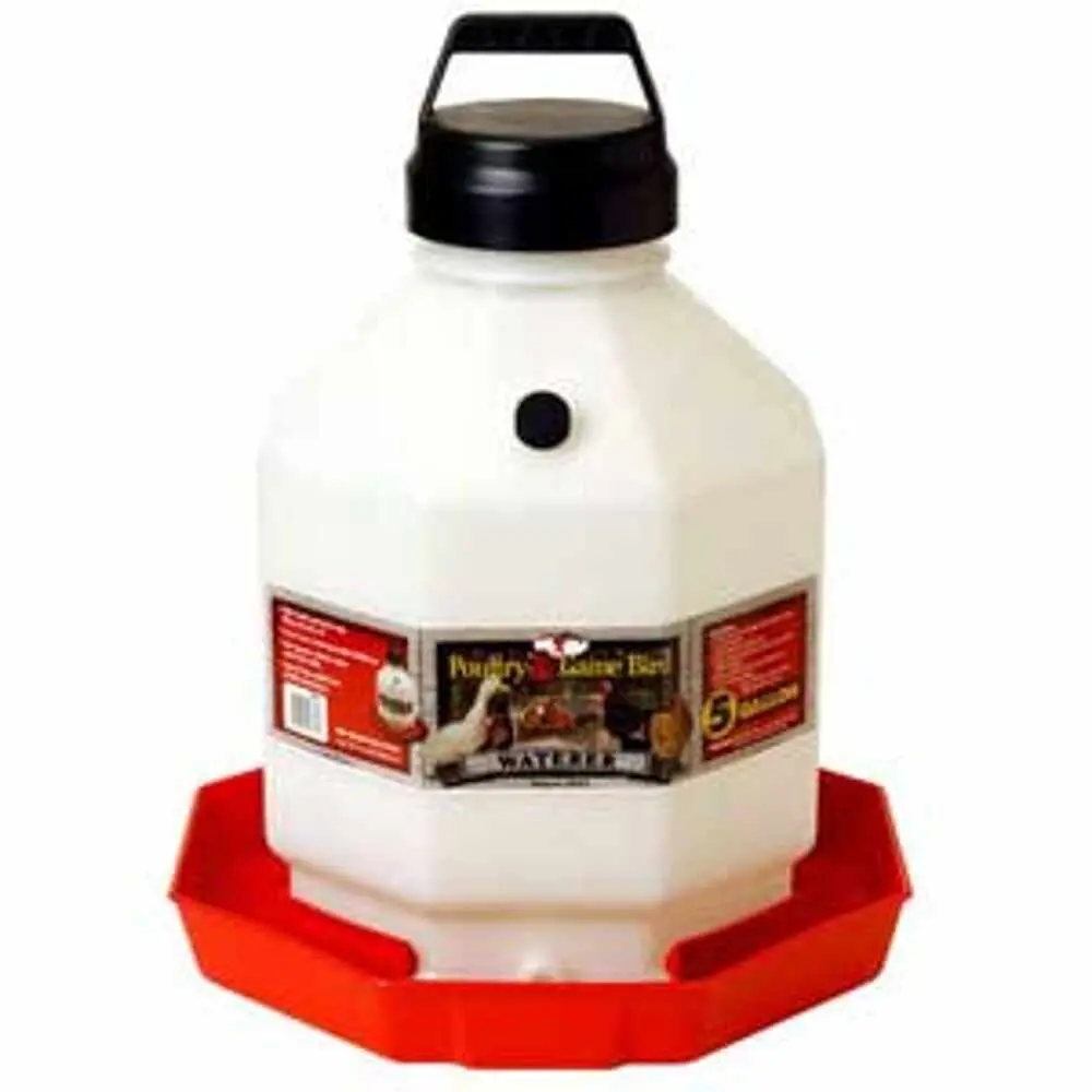 Waterer 5 Gal. Poultry 1