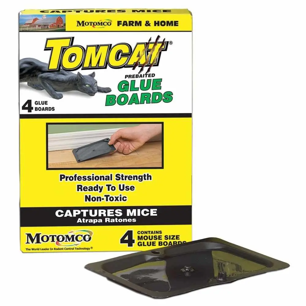 Glue Trap-Mouse 4Pk 1