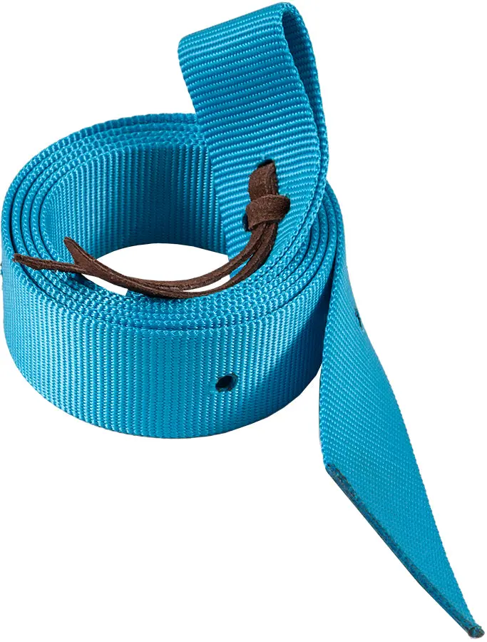 Tie Strap, Nylon, 6 Ft.- Turq 1