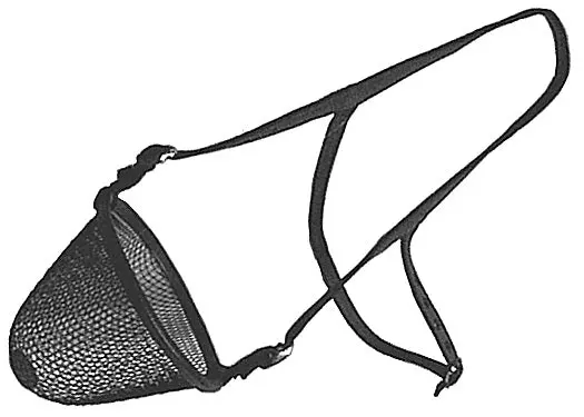 Horse Muzzle, Wire 1