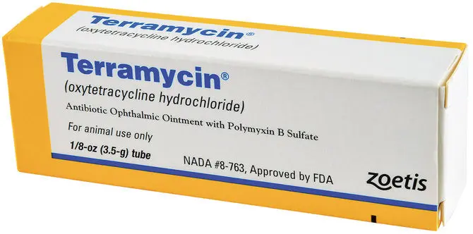 Durvet: Terramycin Ophthalmic Ointment 1