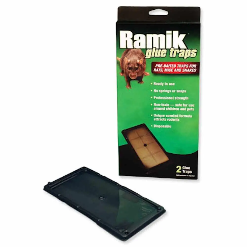 Ramik® Rat Glue Trap Non-Toxic 2/Pkg 1