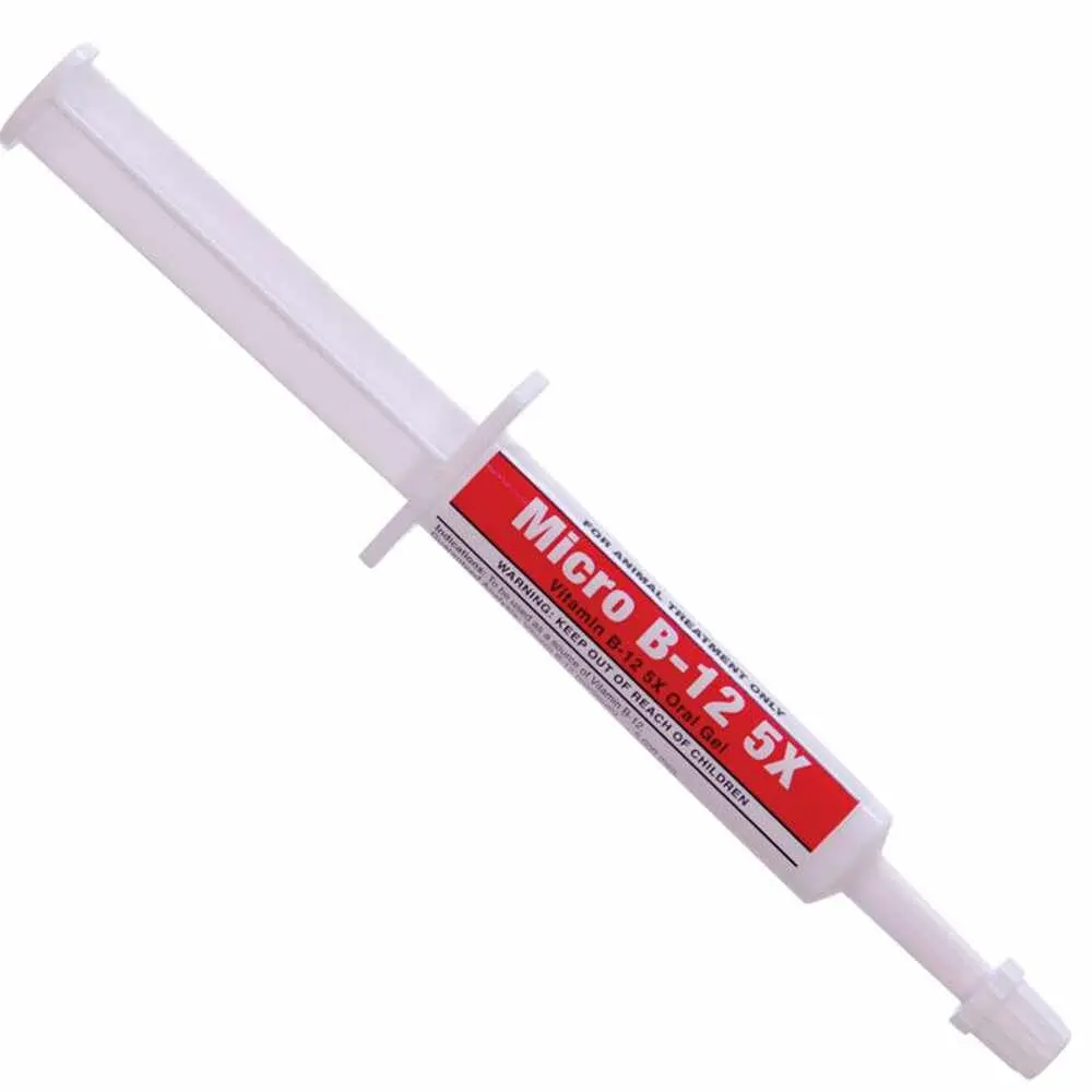 Micro B-12 5X Paste 6G 1
