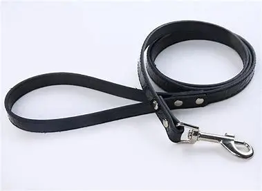 Dog Lead Latigo 1