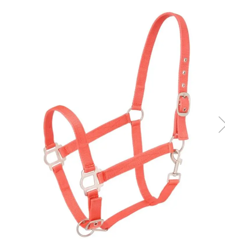 Orange - Tough-1 Nylon Halter With Satin Hardware 1