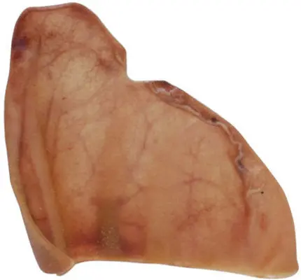 Pig Ears - Oreja/Ear 1