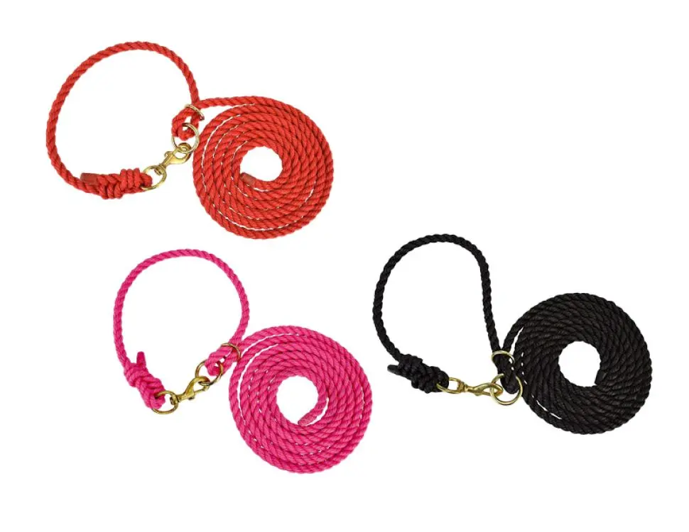 Hamilton  Adjustable Halter With Lead And Snap, 1