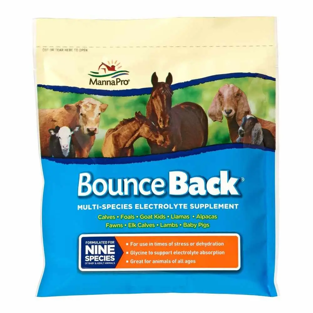 Manna Pro: Bounce Back - 4 Lb 1
