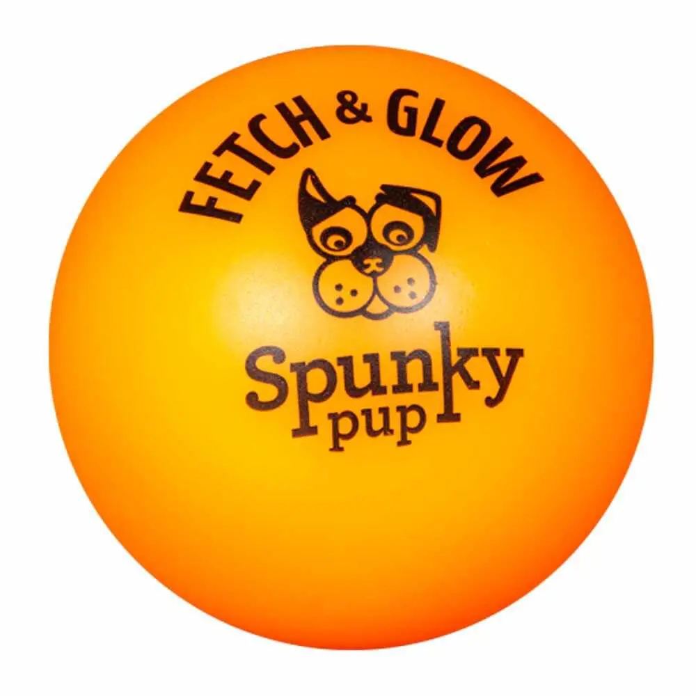 Fetch & Glow Ball Large 1