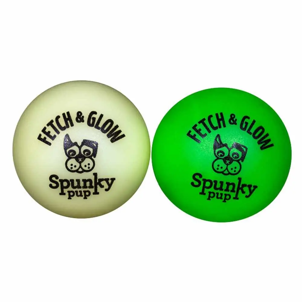 Fetch & Glow Ball Small 2-Pack 1