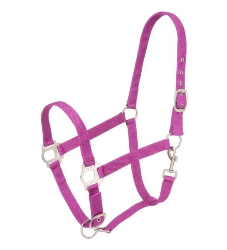 Purple - Tough1 Nylon Horse Halter With Satin Hardware With Snap 1