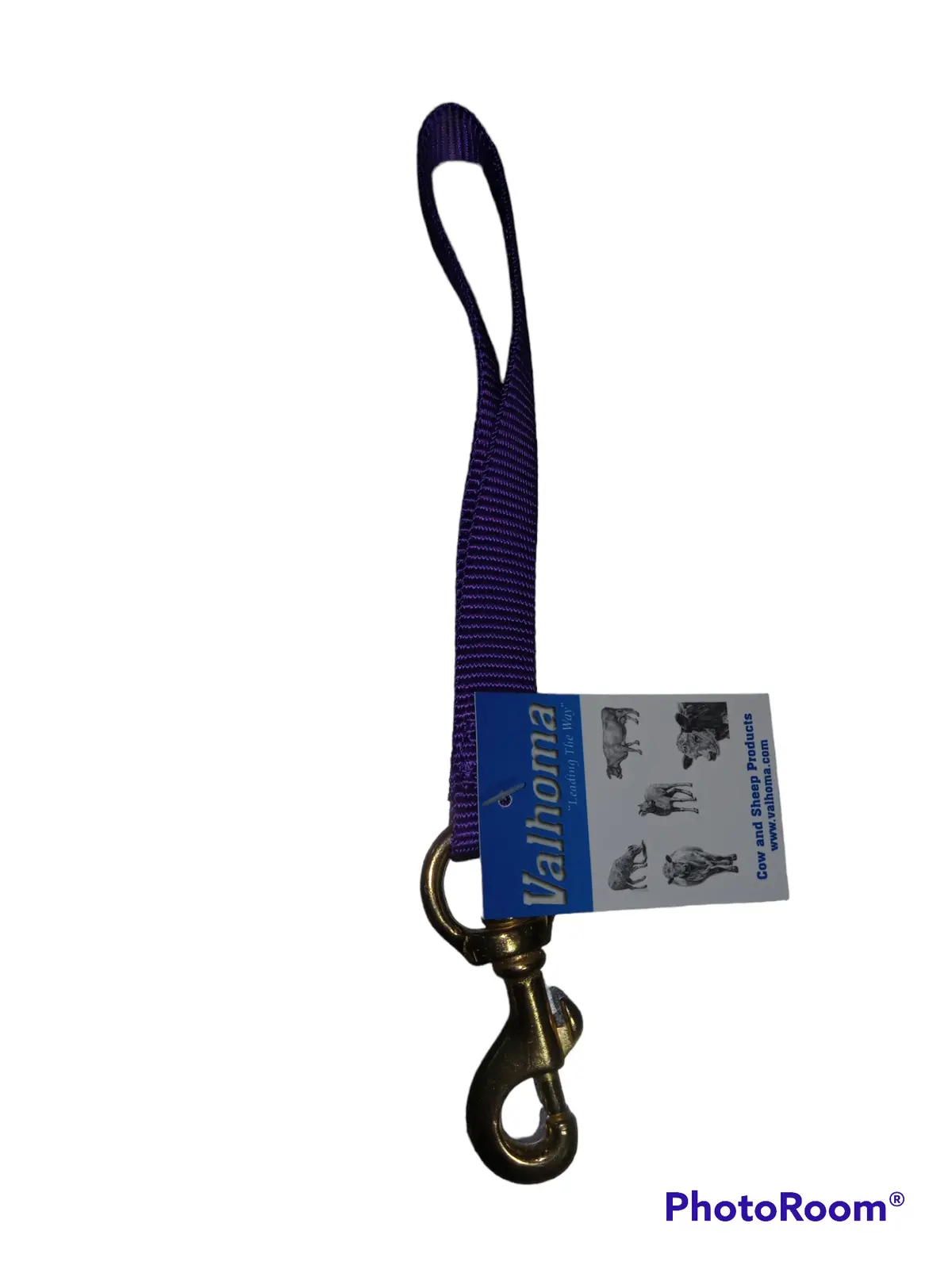 Goat Lead - Purple 1