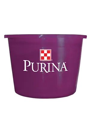 Purina® Accuration® Sheep & Goat Hi-Fat Block 200Lb 1