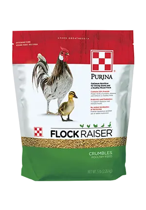Purina Flock Raiser Cr 5Lb 1