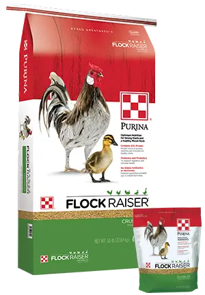 Purina® Flock Raiser® Crumbles 50 Lbs 1
