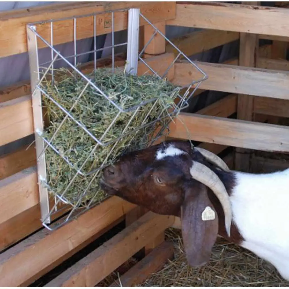 Basket Feeder Sheep& Goat 1