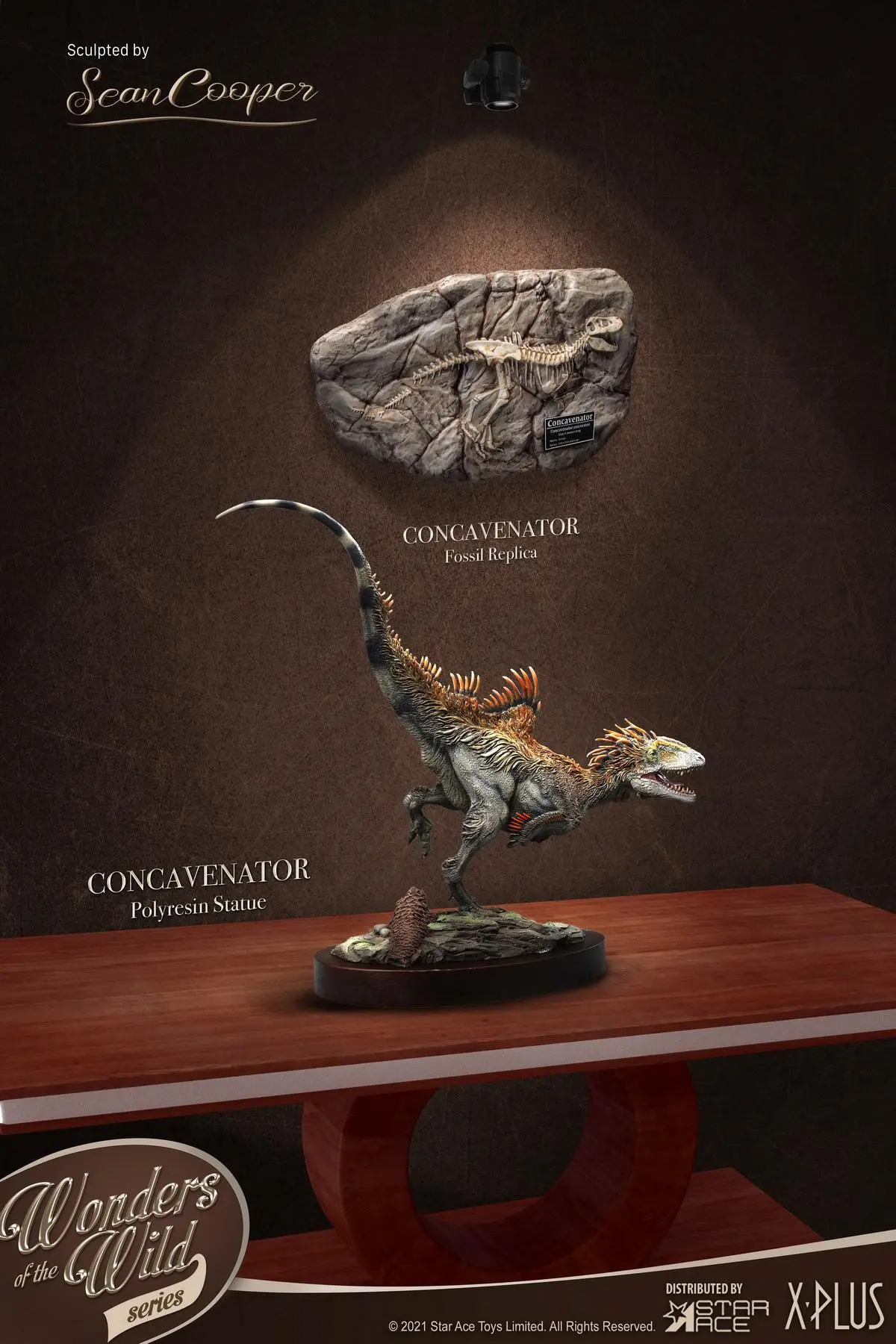 Wonders Of The Wild Series: Concavenator + Fossil Replica (Deluxe Version) 1