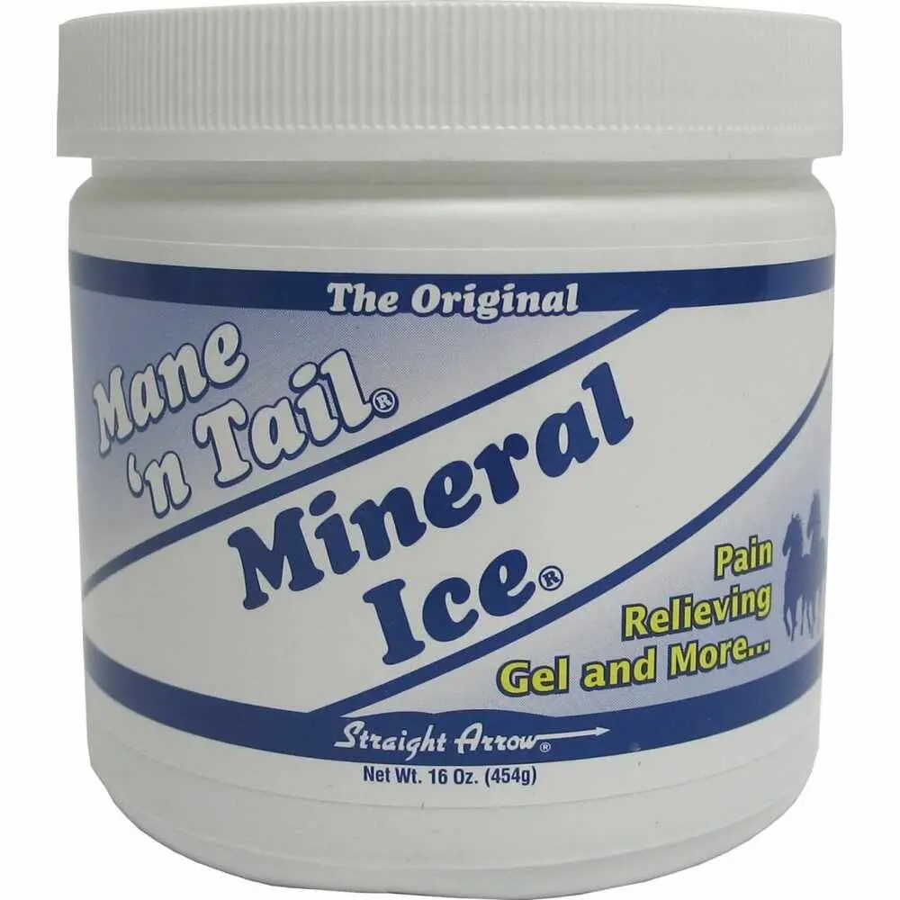 Mane'n Tail: Mineral Ice Pain Relieving Gel -  16 Oz 1