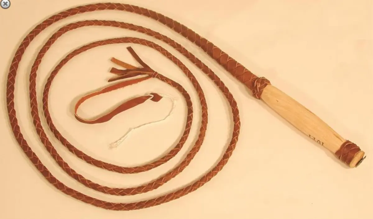 Whip Bull Economy 1