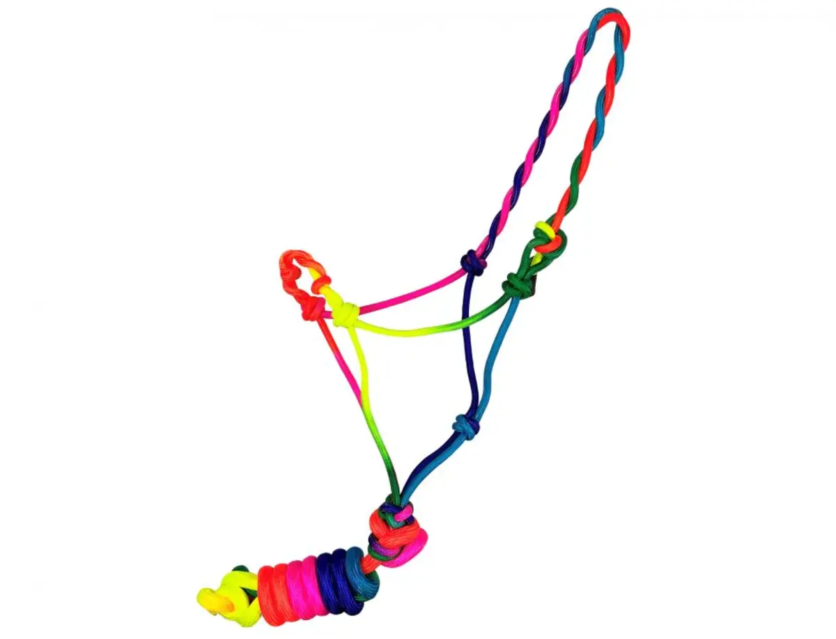 Mini/Small Pony Rainbow Halter 1