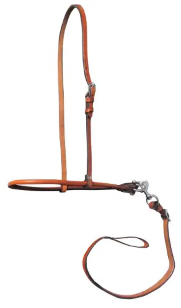 Showman Arg. Cow Leather Adjustable Smooth Leather Noseband And Tie Down. 1