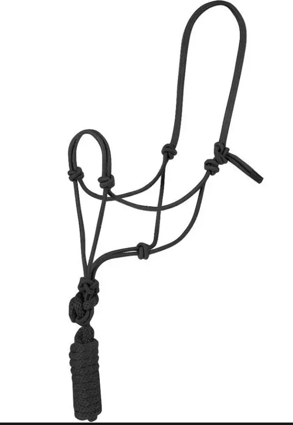 Economy Mountain Rope Halter And Lead - Black 1