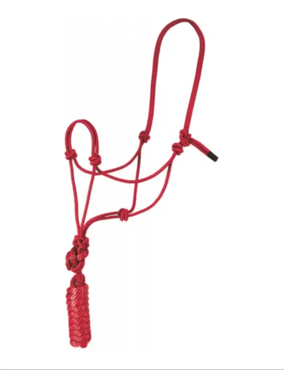 Economy Mountain Rope Halter And Lead - Red 1
