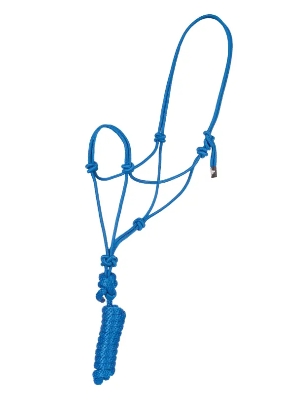 Economy Mountain Rope Halter And Lead - Blue 1