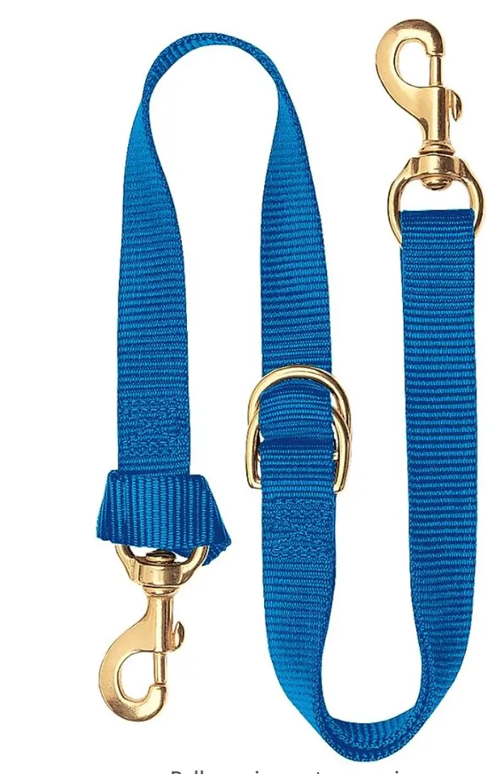 Adjustable Tie Down, 1" , Blue 1