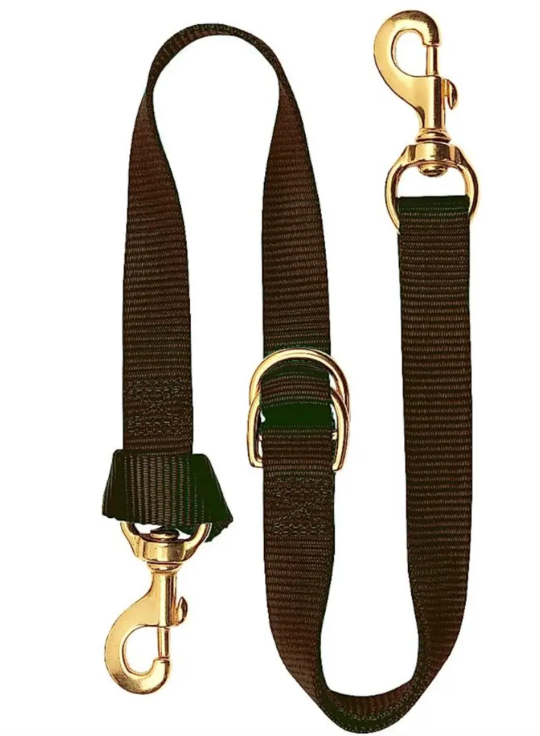Adjustable Tie Down, 1" , Tan 1