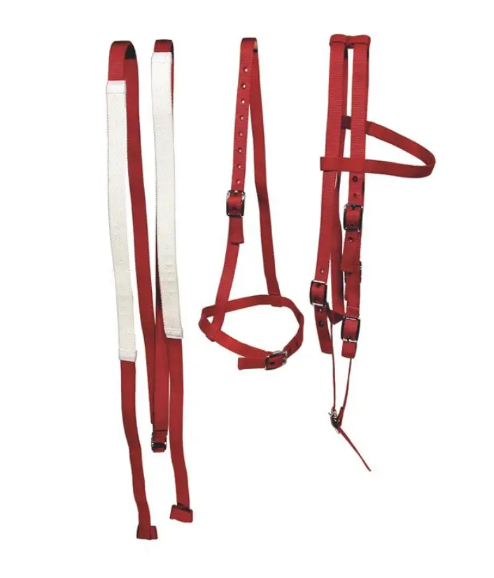Race Set, H/S, Reins, Caveson, Green 1