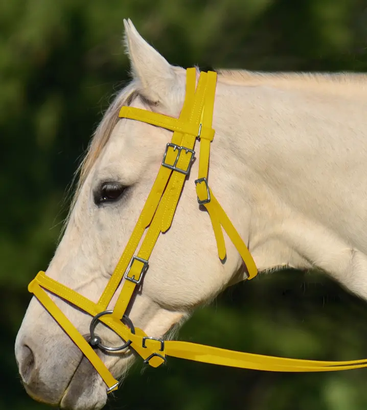Race Set, H/S, Reins, Caveson, Yellow 1