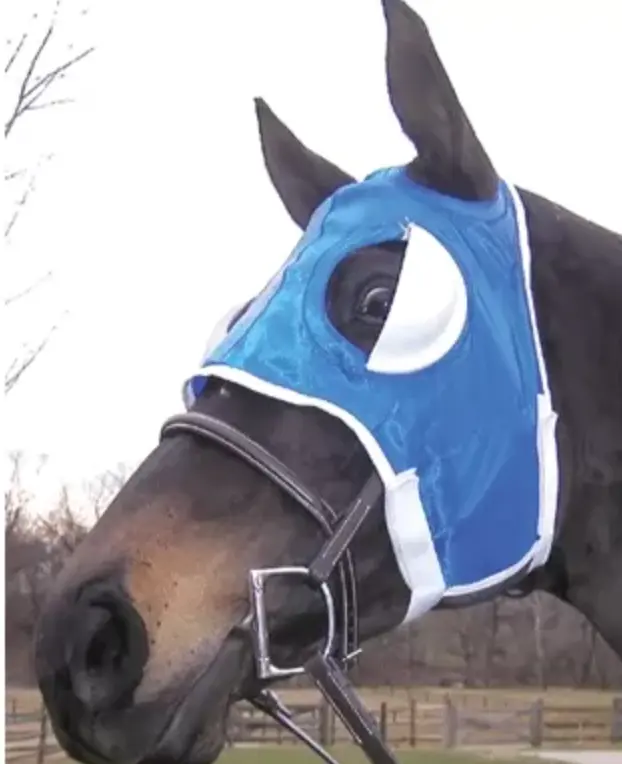 Blinkers, French Cup, Blue 1